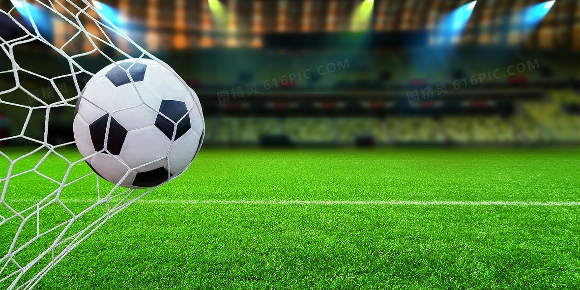 陈子豪赛季表现回顾